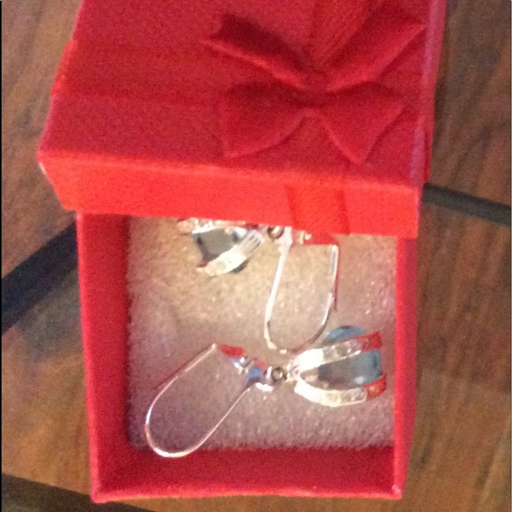 Silver and blue stone earrings